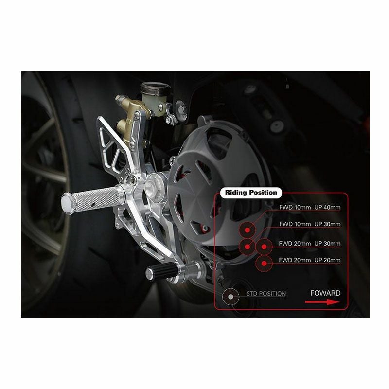 アエラ(AELLA) ライディングステップキット ポリッシュ モンスター1100-02