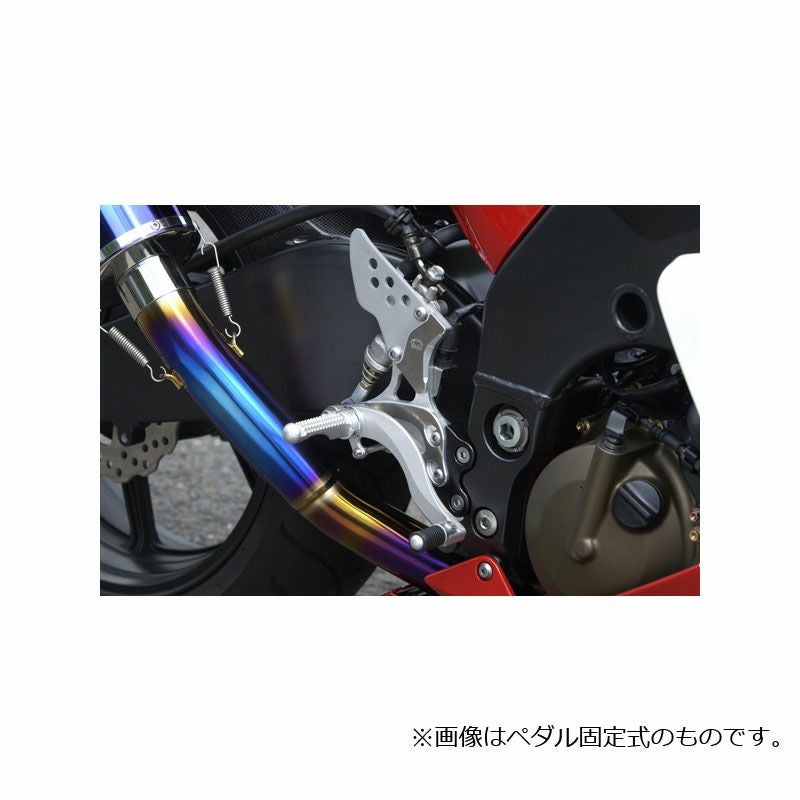 社ページ ビートジャパン(BEET JAPAN) ハイパーバンク(ペダル可倒式) ZX-10R 04