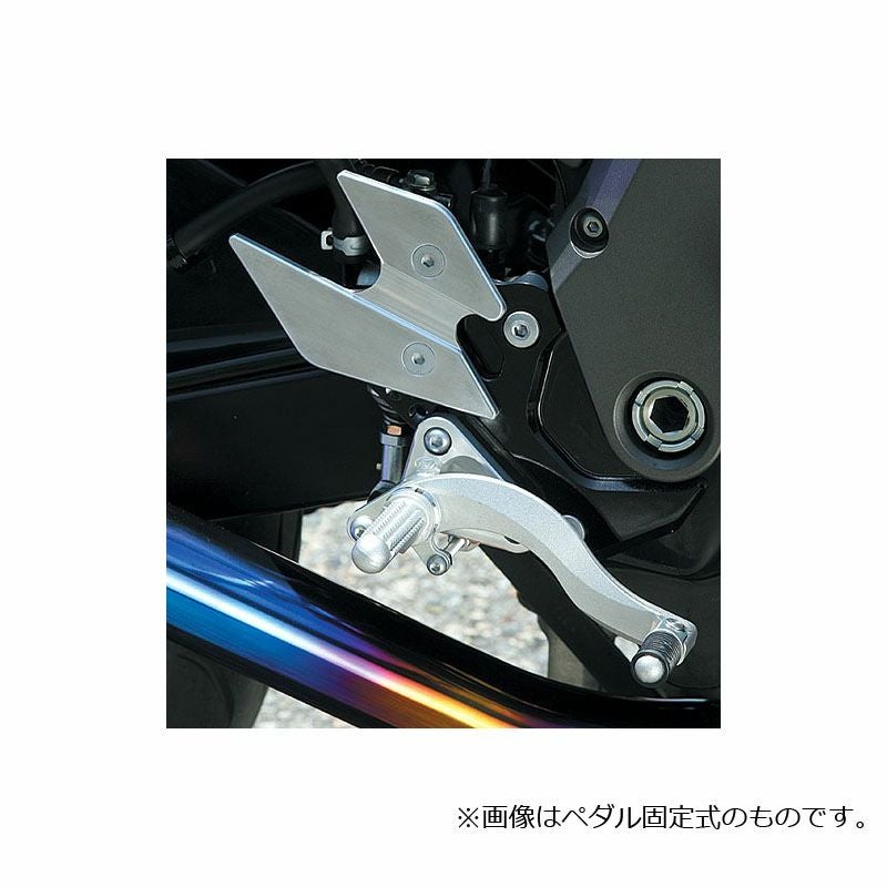 ビートジャパン(BEET JAPAN) ハイパーバンク(ペダル固定式) Z750/S 04