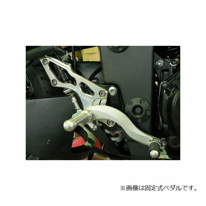プリント(print) トップブリッジステッカー ZX-12R 00-06 | バイク