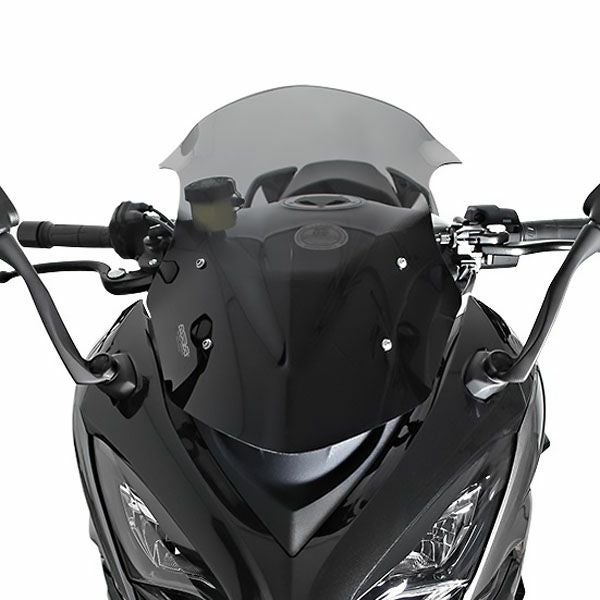 MRA(エムアールエー) スクリーンレーシング スモーク Ninja1000