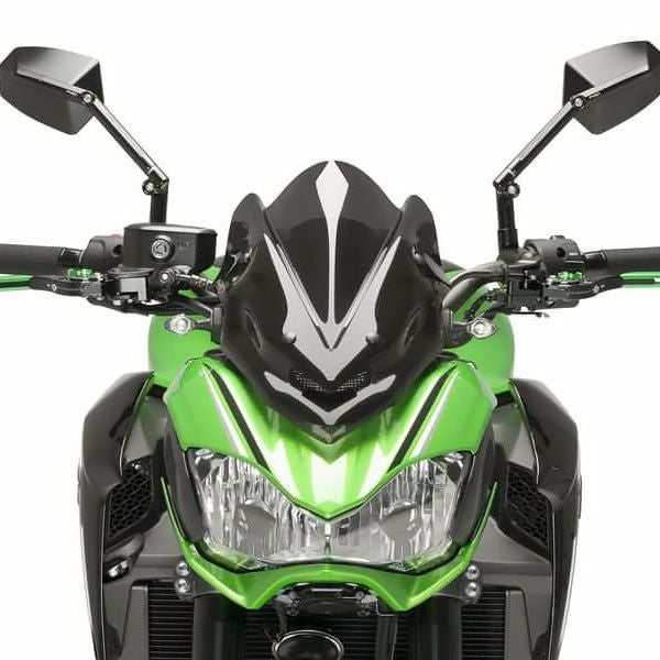 プーチ(Puig) スポーツスクリーン ダークスモーク Z900 17-19 9689F