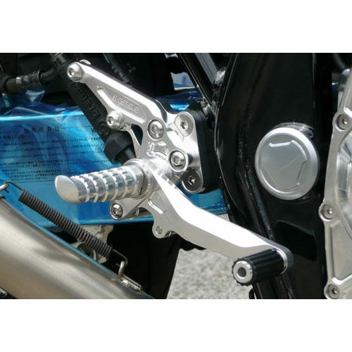 アグラス(AGRAS) バックステップ 4ポジション XJR1300/1200 312-251-000-01
