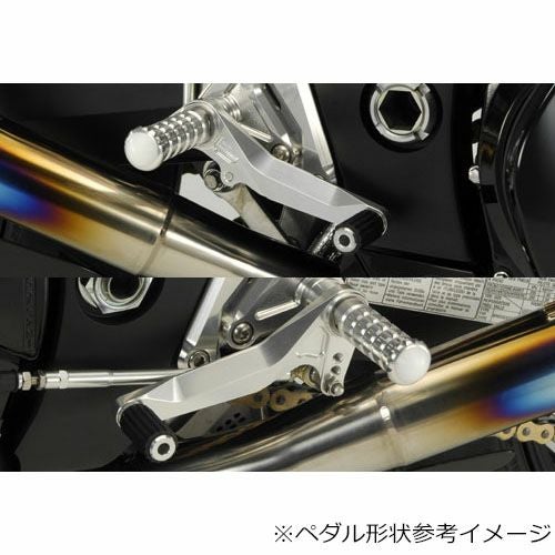 アグラス(AGRAS) バックステップ 4ポジション YZF1000R 312-256-000 