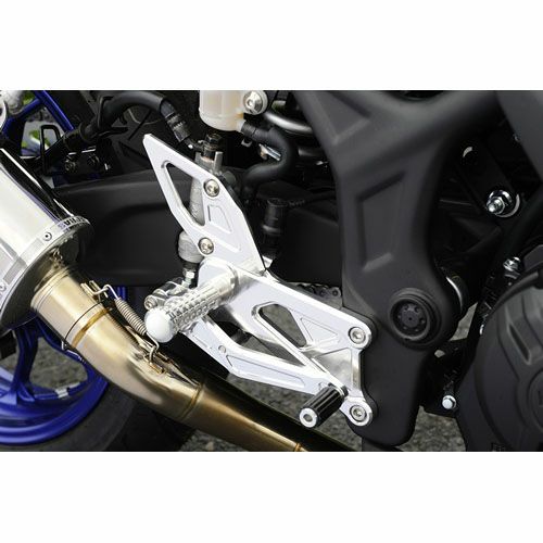 バイク AGRAS アグラス バックステップ SE用(シフター付) アルマイト