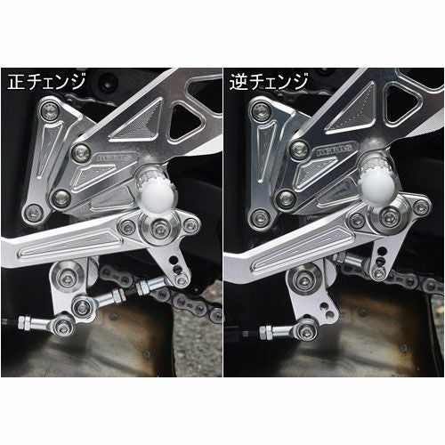 アグラス(AGRAS) バックステップ 4ポジション ZX-10R 16- 312-497-000