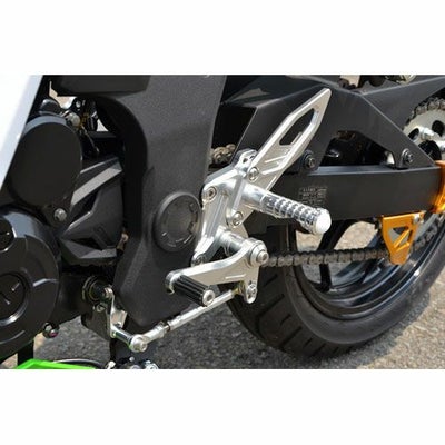 アグラス(AGRAS) バックステップ 4ポジション ZX14R ABS 312-490-000 