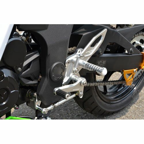 アグラス(AGRAS) バックステップ 4ポジション Ninja250SL 312-495-000_1