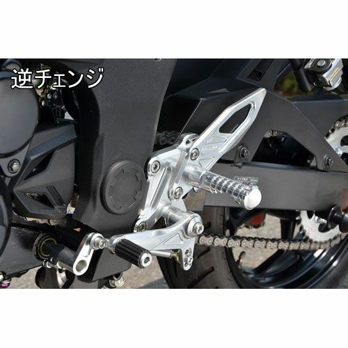 アグラス(AGRAS) バックステップ 4ポジション Ninja250SL 312-495-000_3