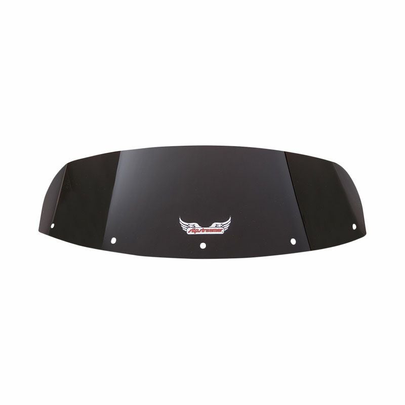 プーチ(Puig) スポーツスクリーン クリア VMAX1700 09-17 4952W