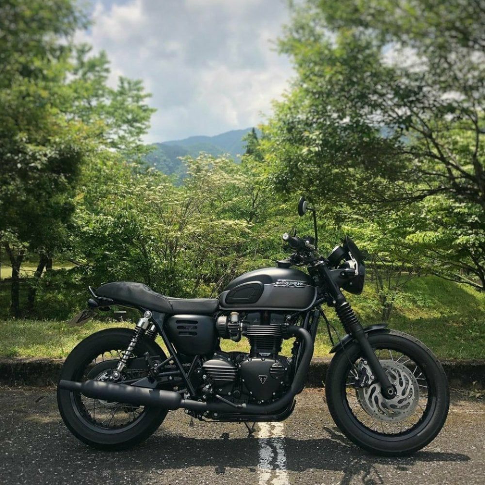 スピードツイン900 カフェシート The Rattler 1個 モートン セール】 トライアンフ ボンネビル T120 T100 スクランブラ-900