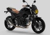 C-RACER シート ブラック SV650 16--03