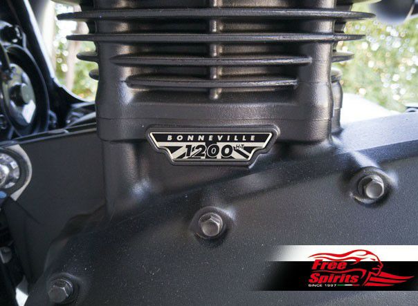 Free Spirits 各種モデル クランクケースバッジ ペア | バイクカスタム