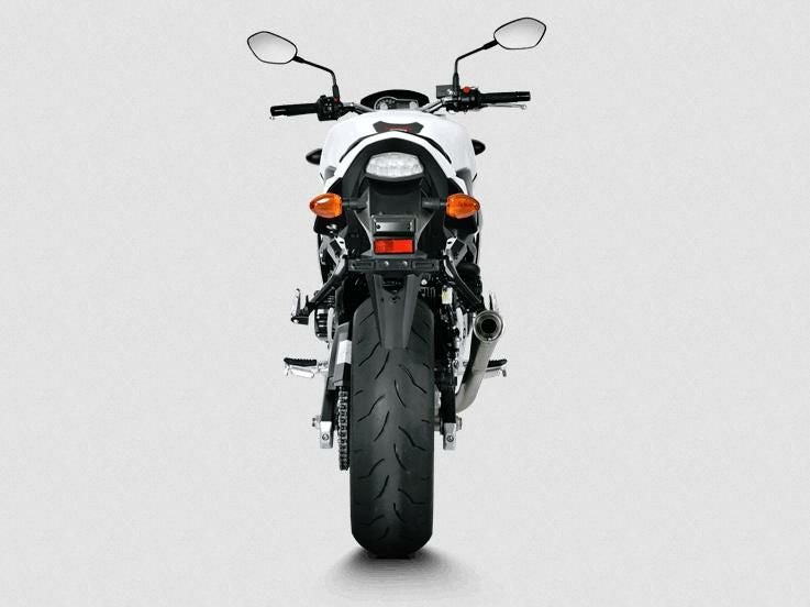 Akrapovic (アクラポヴィッチ) スリップオンマフラー・チタン・GSR750