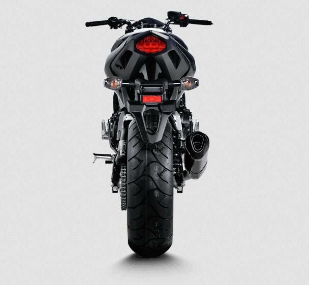 Akrapovic (アクラポヴィッチ) スリップオンマフラー・EC規格・カーボン・CB600F/Hornet・CBR600F・07-13-04