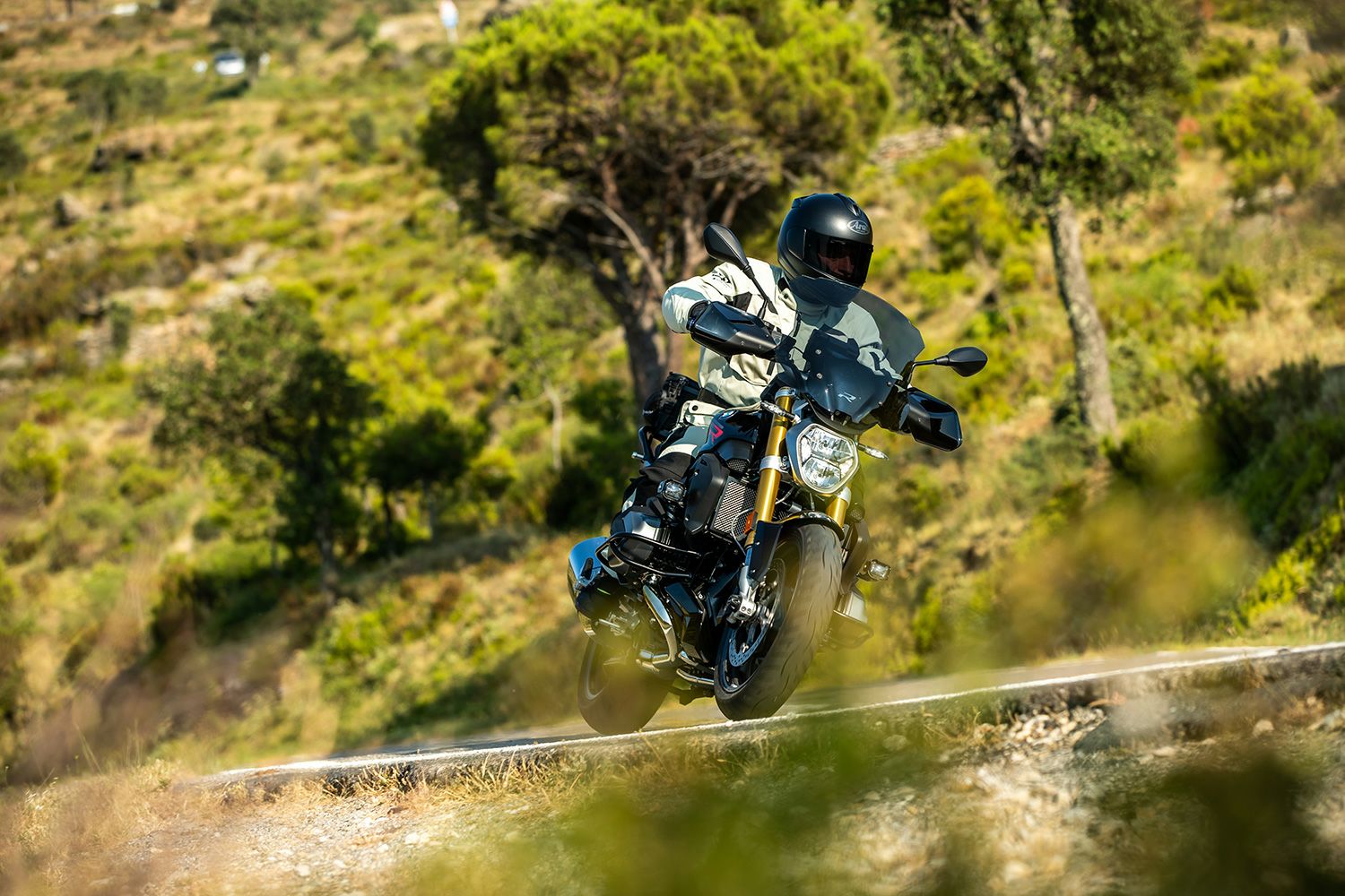 ワンダーリッヒ・MARATHON・ウインドシールドスクリーン・R1250R・19