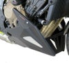 CB650R 2019- アンダースポイラー ベリーパン カーボンルック パワーブロンズ_1