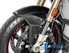 S1000XR 20-22 カーボン ロングフロントフェンダー BMW イルムバーガー_2