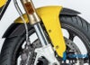 S1000XR 20-22 カーボン フロントフェンダー BMW イルムバーガー_2