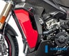S1000XR 20-22 カーボン ウォータークーラーカバー コンプリート 左側 BMW イルムバーガー_1