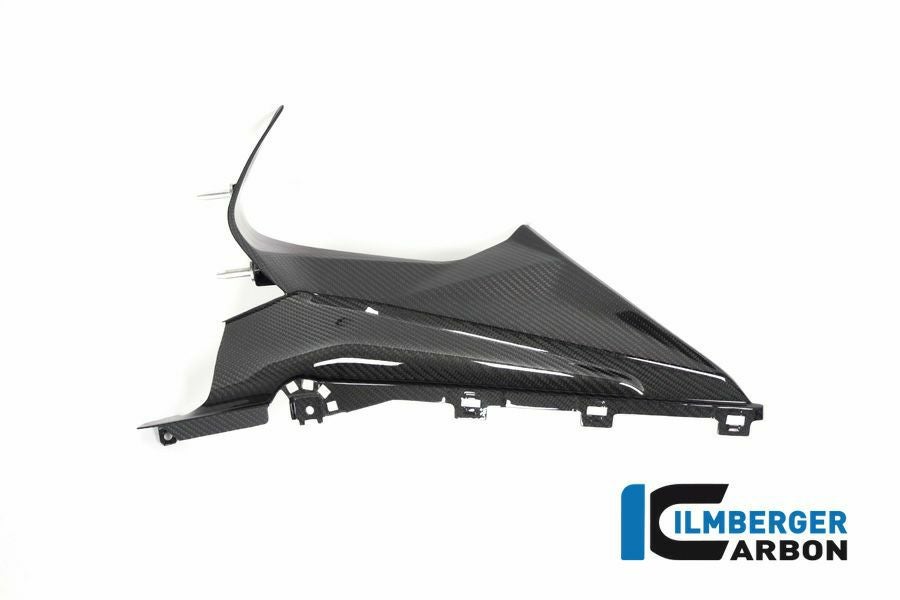 BMW S1000RR/M1000RR カーボンフロントカウルインナーカバー 左 イルム