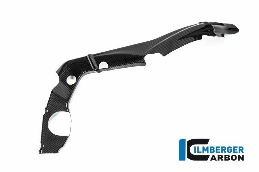 S1000RR イルムバーガー社製 カーボンフレームカバー 2015年式 BMW S1000RR/M1000RR カーボンフレームカバー スモール 右 イルム