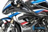 BMW S1000RR  19- カーボンフロントカウル フェアリングサイドパネル 左   イルムバーガー_1