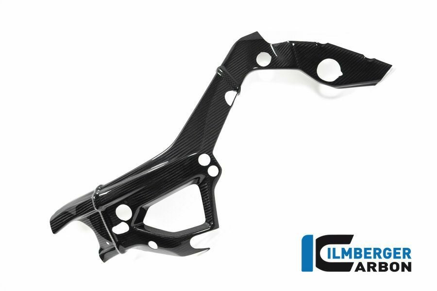BMW S1000RR/M1000RR カーボンフレームカバー ビッグ 左 イルム