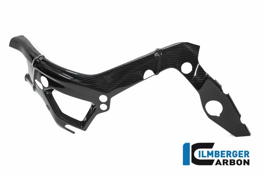 BMW S1000RR/M1000RR カーボンフレームカバー ビッグ 左 イルム