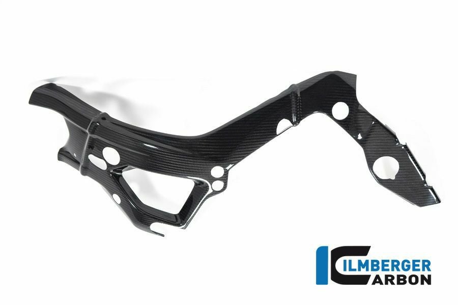 BMW S1000RR/M1000RR カーボンフレームカバー ビッグ 左 イルム