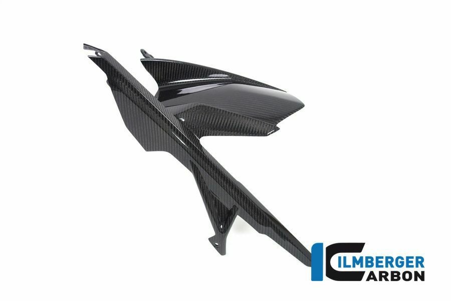 BMW S1000RR/M1000RR/S1000R/M1000R カーボンリアハガー アッパー