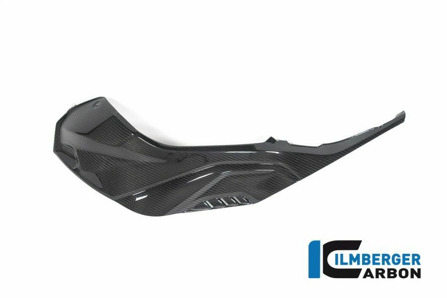 BMW S1000RR/M1000RR/S1000R/M1000R カーボンタンクサイドパネル 左
