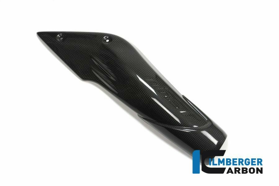 BMW R NINE T 14- カーボンエアチャネルカバー 右側 カーボン イルム