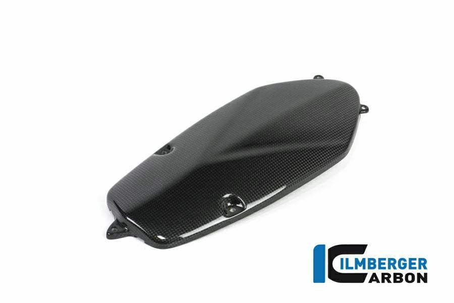 BMW R NINE T 14- カーボンオルタネーターカバー イルムバーガー