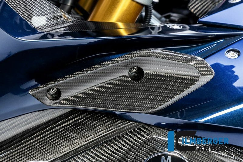 R1250RS 19- カーボン フロントカウル フェアリングフロップ 左側 BMW イルムバーガー_1