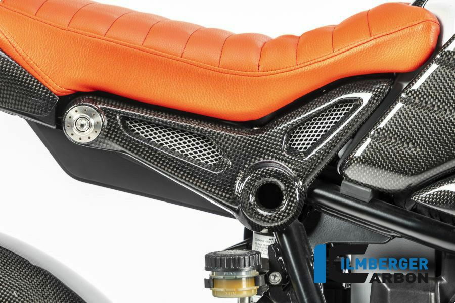 BMW R NINE T 14- カーボンリアフレームカバー右側 イルムバーガー