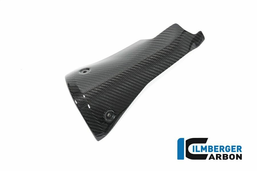 R1250R/R1250RS 19- カーボン サイレンサー ヒートガード BMW イルム
