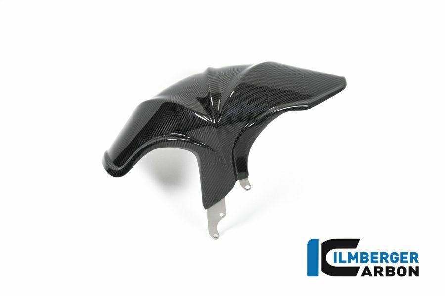 R1250R/R1250RS 19- カーボン リアフェンダー BMW イルムバーガー