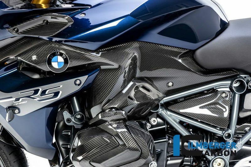 R1250RS 19- カーボン サイドパネル 左側 BMW イルムバーガー_1