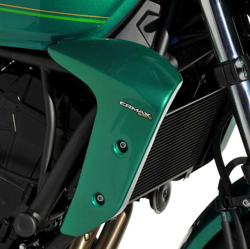 BODYSTYLE リアフェンダー+アルミチェーンガード KAWASAKI Z650 RS (2024)