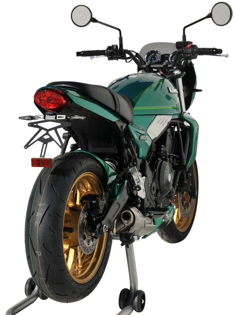 カワサキ Z650RS 22- テールスカート/ナンバープレートホルダー アル