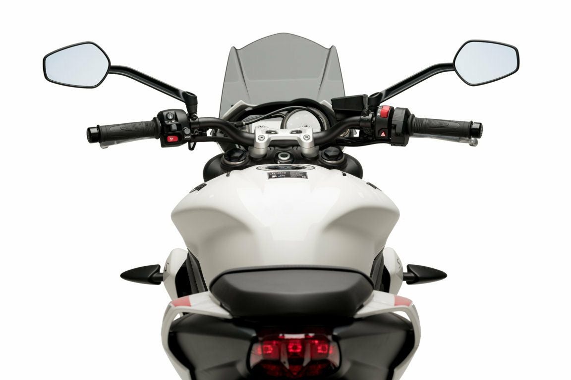 ストリートトリプルS/R/RS 2020- スポーツ スクリーン スモーク プーチ
