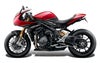 トライアンフ スピードトリプル 1200RR 22- エンジンガード エヴォテックパフォーマンス_4