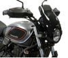 カワサキ Z650RS 2022- ハンドガード パワーブロンズ_2