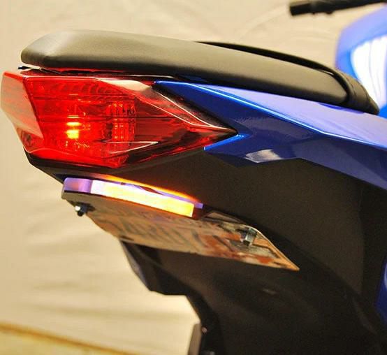 ニンジャ250/300 LEDリアウインカー/フェンダーレスキット New Rage Cycles_1