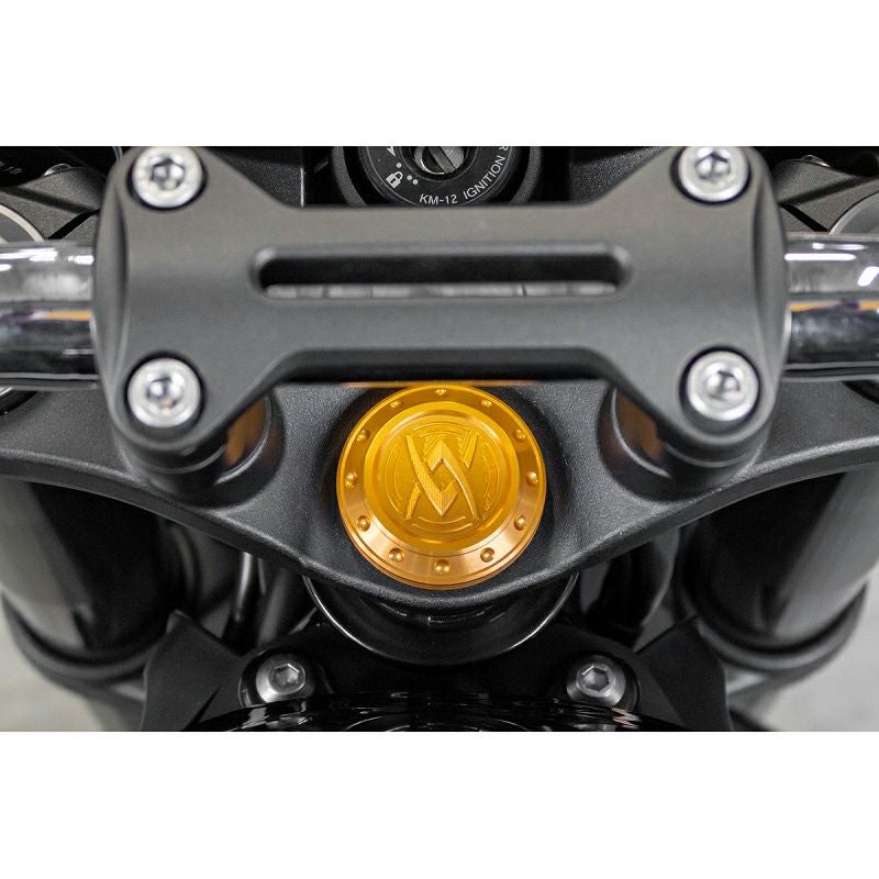 カワサキ Z900RS/CAFE ステムトップキャップカバー ゴールド アーキ