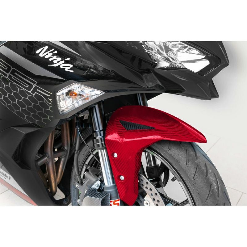KAWASAKI Z750T フロントフェンダー カワサキ [C-25-0129-25] TEASER FFK10G FRONT FENDER[DRY CARBON HG] Kawasaki ZX-4R (23-24