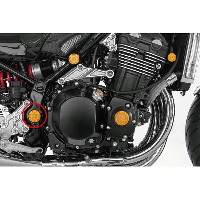 カワサキ Z900RS/CAFE ARCHI(アーキ)ロゴプラグ スイングアーム