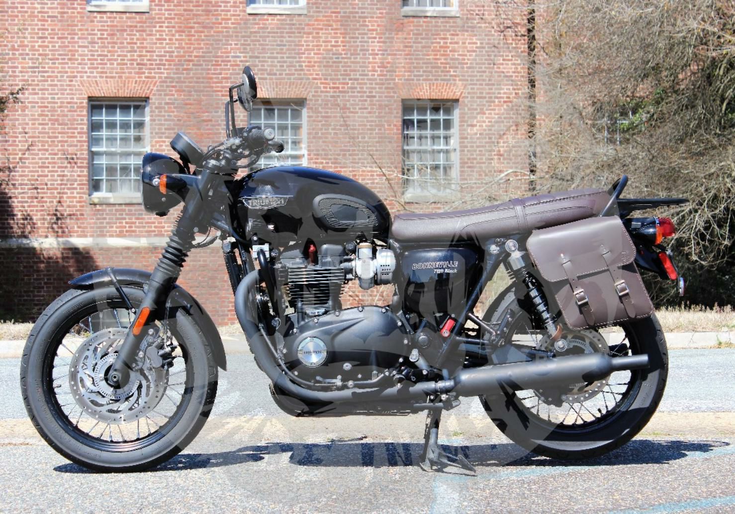 トライアンフ ボンネビルT100/T120 ソロサイドバッグ左側 本革 BAD&G