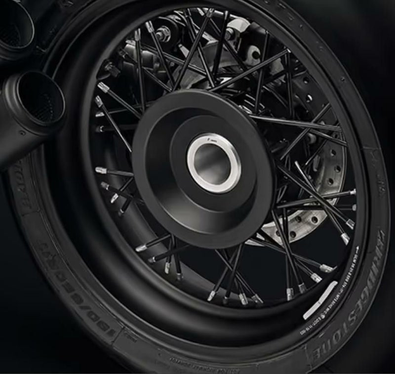 BMW RnineT/Pure/Scrambler/Urban GSプロテクションリアハブカバー リゾマ_1